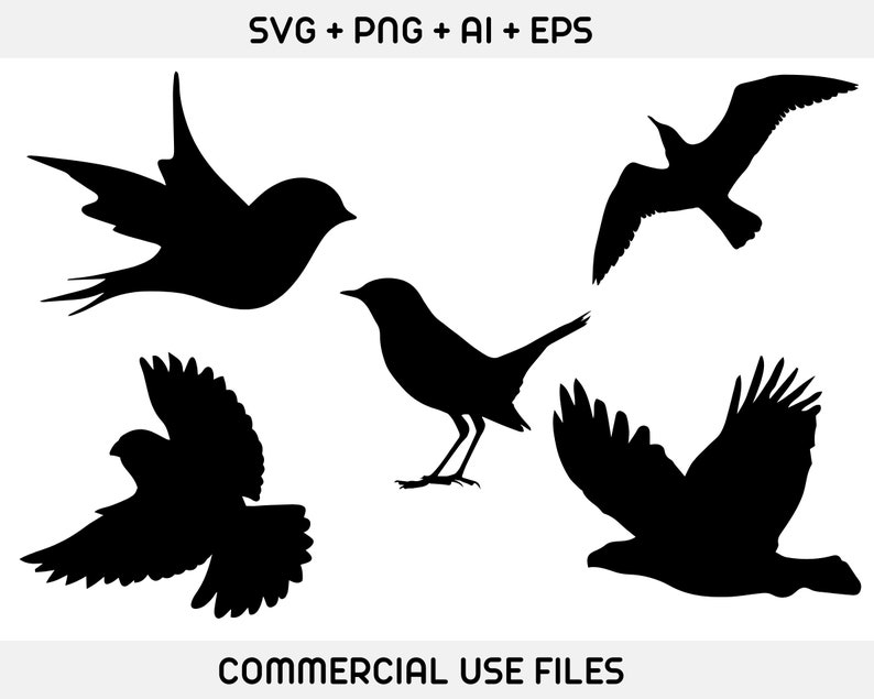 May include: Silhouettes of five different birds in black against a white background. The birds are facing different directions and are in various poses.