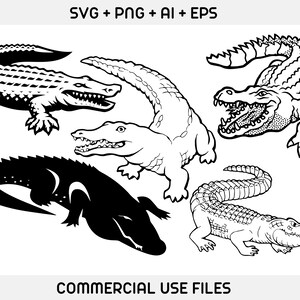 May include: Four black and white line art illustrations of alligators. The alligators are in various poses, including walking, swimming, and with their mouths open. The illustrations are simple and stylized.