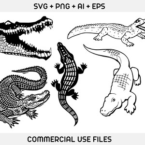May include: A set of five black and white vector illustrations of alligators. The illustrations are in a variety of poses, including a full-body view, a close-up of the head, and a side view.
