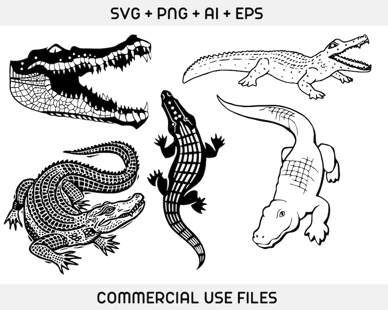 May include: A set of five black and white vector illustrations of alligators. The illustrations are in a variety of poses, including a full-body view, a close-up of the head, and a side view.