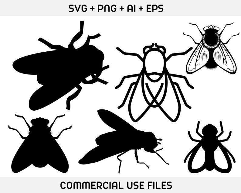 Fly Insect Svg Insect SVG , Insect Bundle SVG, Fly Vector, Fly Bundle SVG, Fly Svg ...
