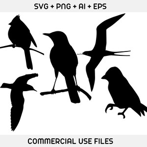 May include: Silhouettes of five different birds, including a cardinal, a robin, a seagull, and two other birds. The birds are all black against a white background.