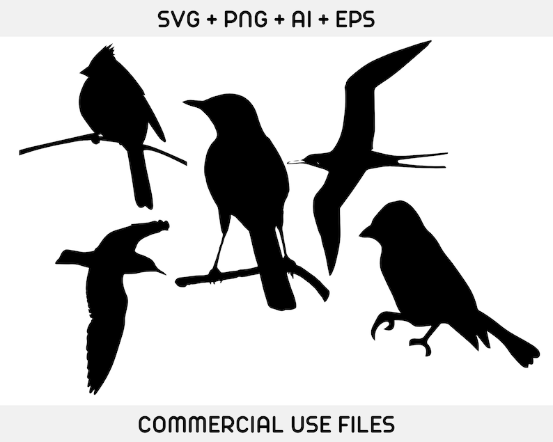May include: Silhouettes of five different birds, including a cardinal, a robin, a seagull, and two other birds. The birds are all black against a white background.