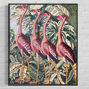 Puede incluir: Una impresi&oacute;n enmarcada de cuatro flamencos rosas de pie en un exuberante entorno de jungla tropical verde. Los flamencos est&aacute;n representados en un estilo vintage con intrincados detalles.