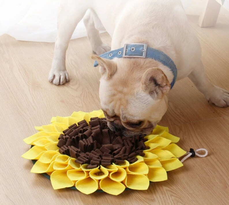 Sunflower Snuffle Enrichment Mat Toy Great for Bunny Rabbits Etsy