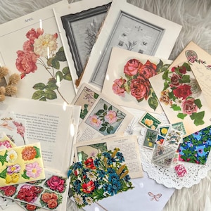 Pacote de papel vintage floral ephemera 40 peças || flora botânica vintage antiguidade ephemera pacote diário kit deco litografia autêntico jardim de flores