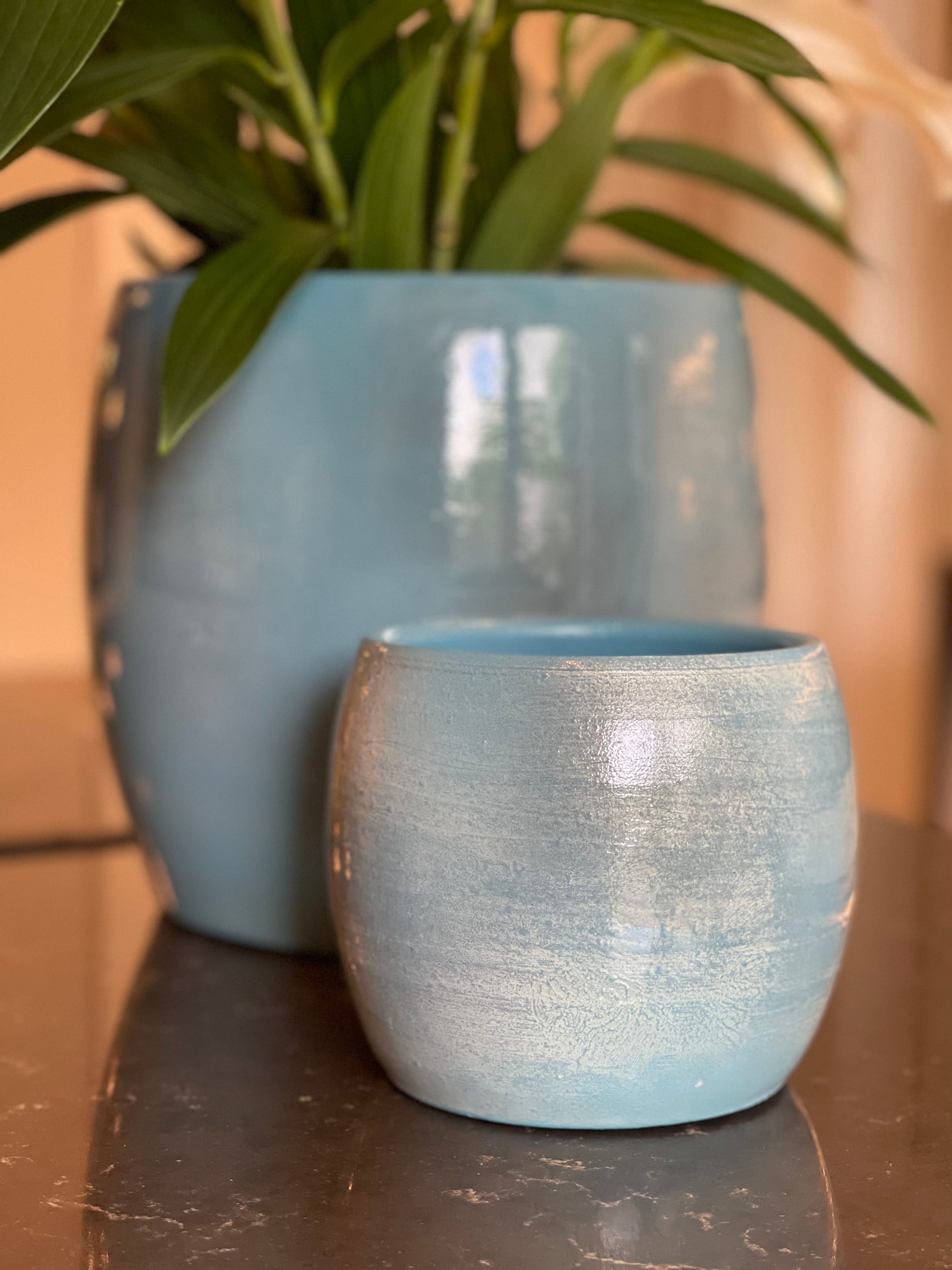 Blue Plant Pot Indoor