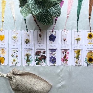 Dengmore Personalized Bookmark 30Pcs Transparent Dried Flower Bookmarks DIY  Dried Flower Bookmark Homemade Bookmarks Beautiful Flower Bookmarks  Glassware Stickers 