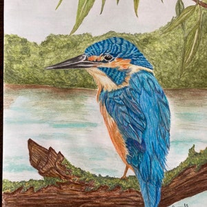 Impression A4 de dessin aquarelle Martin-pêcheur - Dessiné par Julie D Farrell