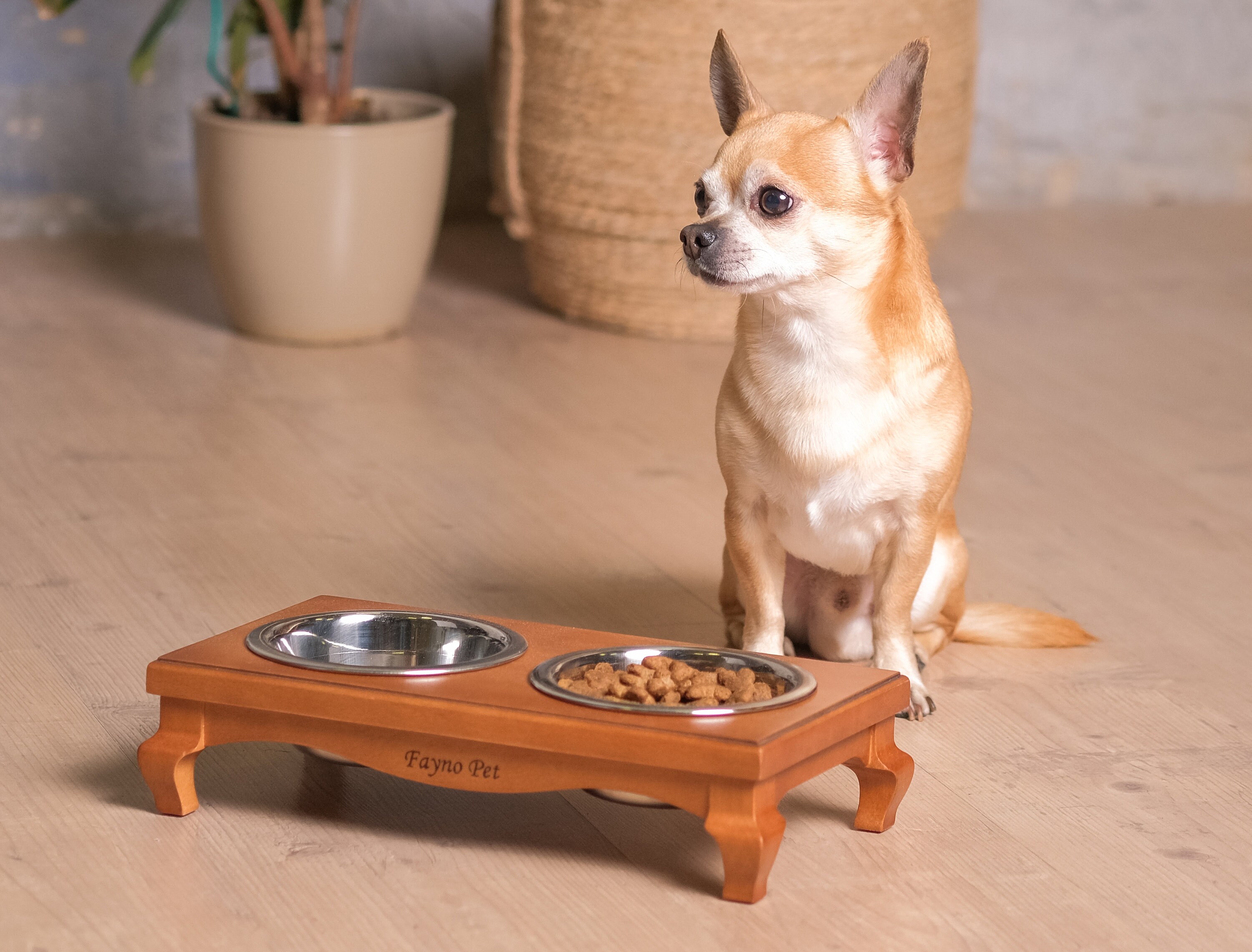 Erhöhte Hundeschale Hund Schale Stehen Holz Katze Feeder Etsy