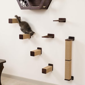May include: A wall-mounted cat climbing system with a dark brown hexagonal cat house, shelves, and scratching posts. A gray kitten is climbing the steps. Two black cats are resting on the floor.