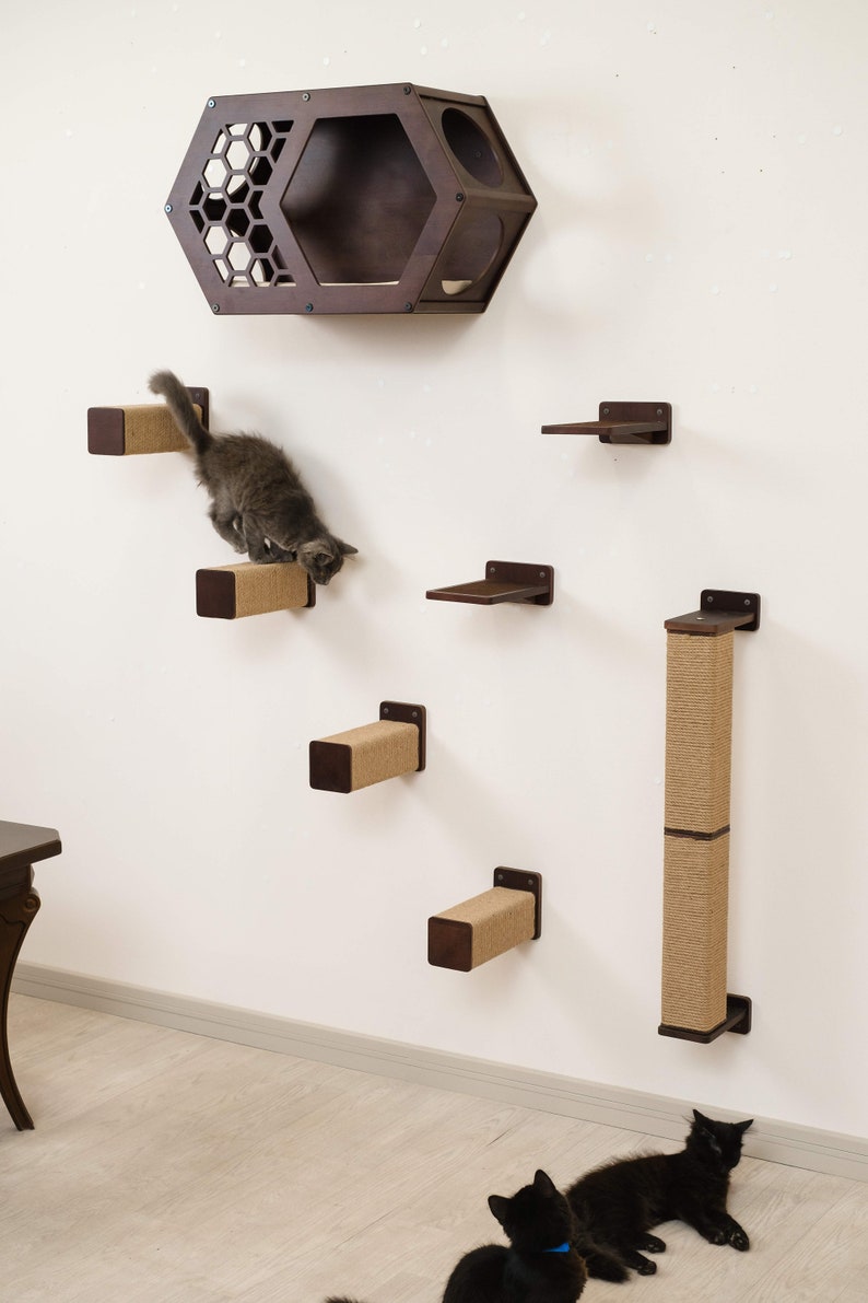 May include: A wall-mounted cat climbing system with a dark brown hexagonal cat house, shelves, and scratching posts. A gray kitten is climbing the steps. Two black cats are resting on the floor.