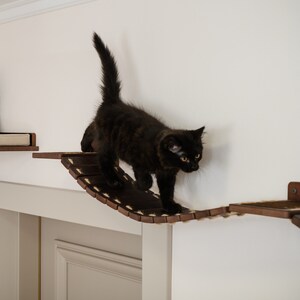 May include: A black cat walks across a dark brown wooden cat bridge attached to a white wall. The bridge has a rope-like design and is part of a cat furniture set. Other shelves are visible.