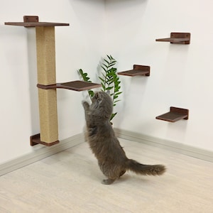 Wall Mounted Cat Scratching Post, Modern Cat Wall Furniture, Cat Scratcher, Cat Wall Step, Cat Wall Shelves, Cat Wall Shelf, Cat Wall Tree
