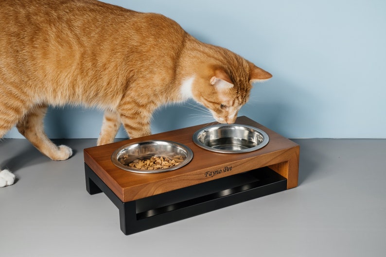Elevated Two Bowls Feeder for Small Dogs and Cats, Cat Feeder with 2 bowls, Cat Food Stand, Raised Cat Bowls with Stand, Elevated Cat Feeder image 1