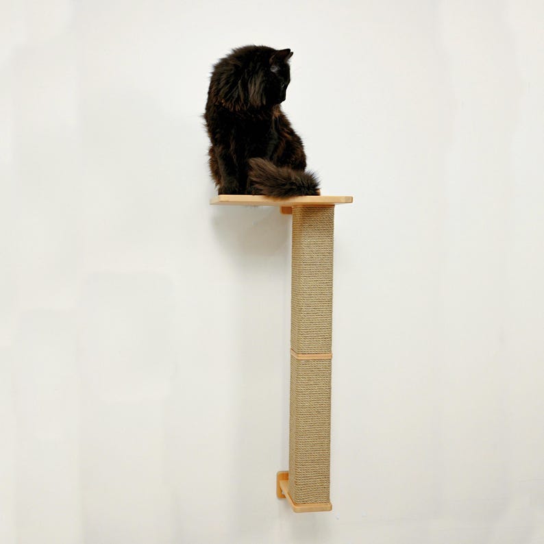 May include: A black cat sits on a wall-mounted cat tree. The cat tree has a wooden platform and a sisal-wrapped scratching post. The cat tree is made of light-colored wood and is mounted on a white wall.