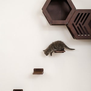 Natural Wood Cat Step with Jute: Wall Mounted Cat Furniture 画像 3