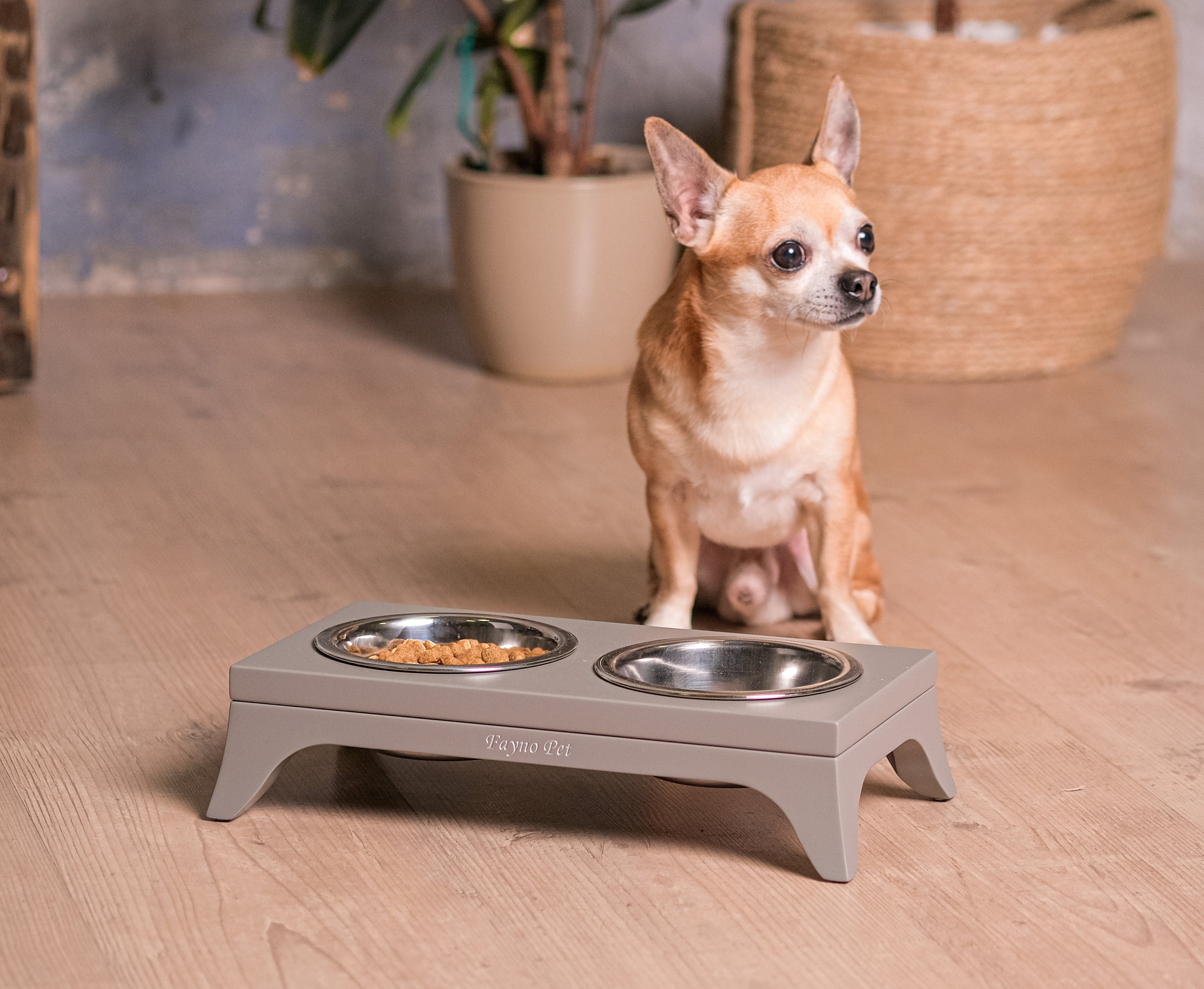 Small Dog Food Bowls Stand Gray Elevated Pet Feeder Modern Etsy