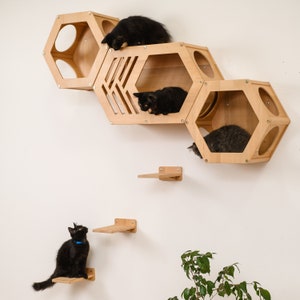 Set Hexagon Cat House, Hexagon Cat Shelf, Modern Cat Wall Furniture, Cat Shelves for Wall, Cat Climbing Tower Cat Shelves Cat Play Furniture