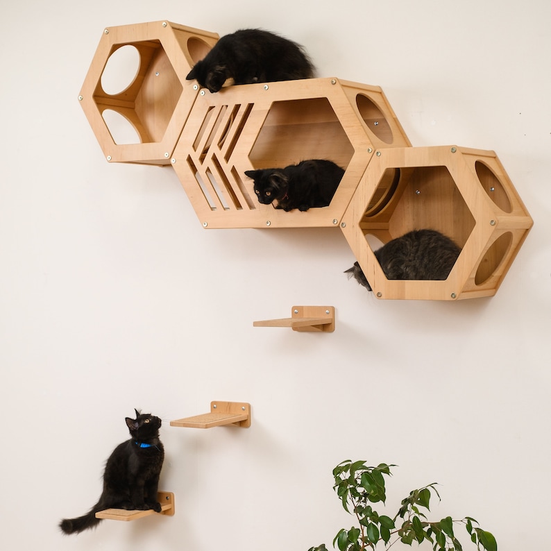 Set Hexagon Cat House, Hexagon Cat Shelf, Modern Cat Wall Furniture
