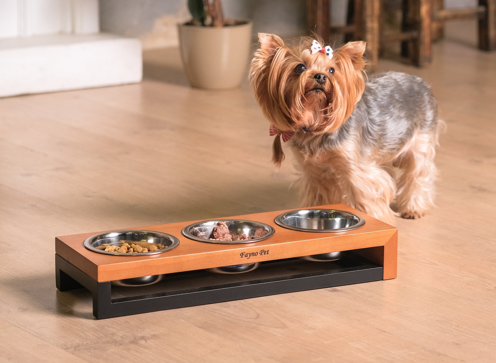 Erhöhter DreiSchalenFutterer für kleine Hunde und Katzen Etsy