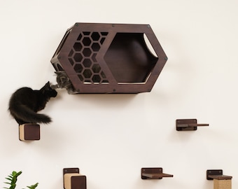 Hexagon Cat Shelf Set: Natural Wood Wall Furniture for Large Cats
