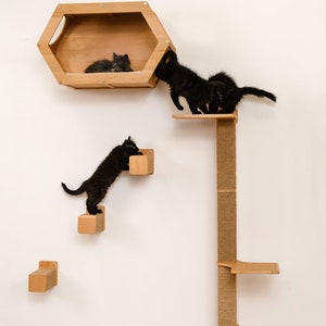 Natural Wood Cat Step with Jute: Wall Mounted Cat Furniture 画像 5