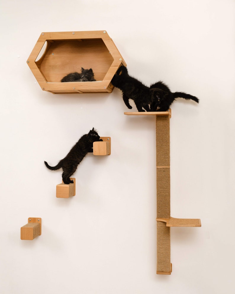 Natural Wood Cat Step with Jute: Wall Mounted Cat Furniture 画像 5