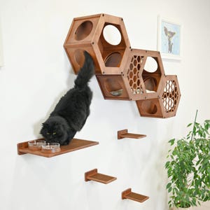 Hexagonal Cat Shelves for Wall, Cat Wall Furniture, Modern Cat Furniture for Large Cat, Cat Feeding Shelf, Hexagon Cat Shelves, Cat Steps