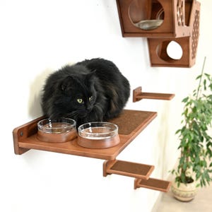 Cat Shelf with Bowls, Cat Feeding Shelf, Wall mounted Cat Feeder, Cat Wall Shelves, Cat Wall Furniture, Cat Shelves, Cat Steps