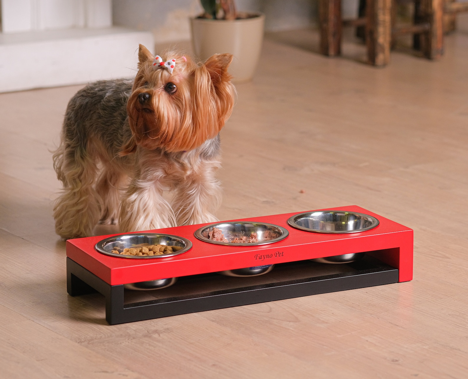 Erhöhter DreiSchalenFutterer für kleine Hunde und Katzen Etsy