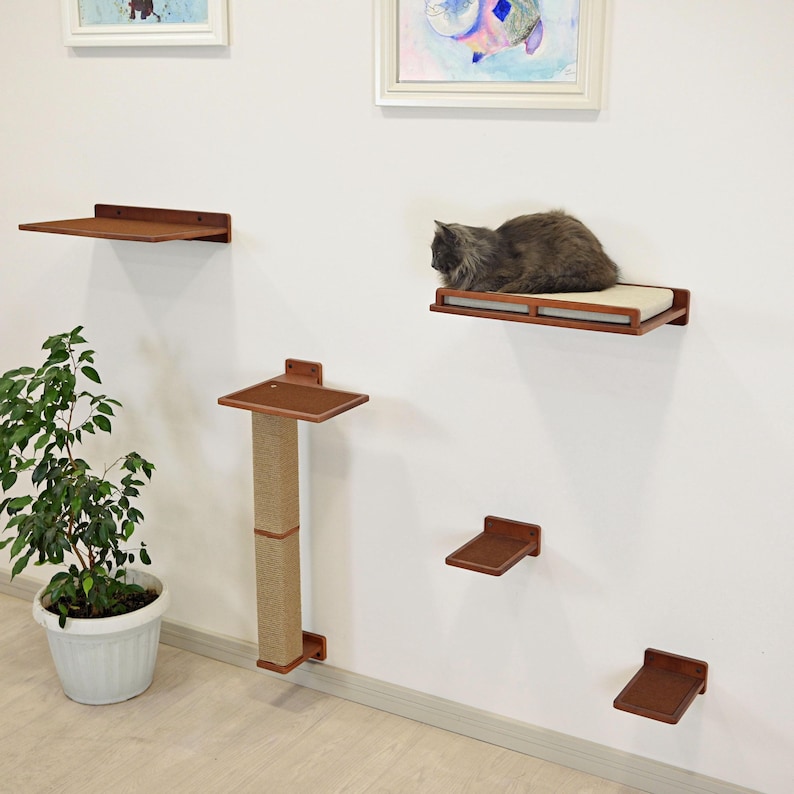 May include: A cat resting on a wall-mounted cat shelf with a cream-colored cushion. The image shows a set of wooden cat shelves and a scratching post, all mounted on a white wall. A potted plant is in the corner.