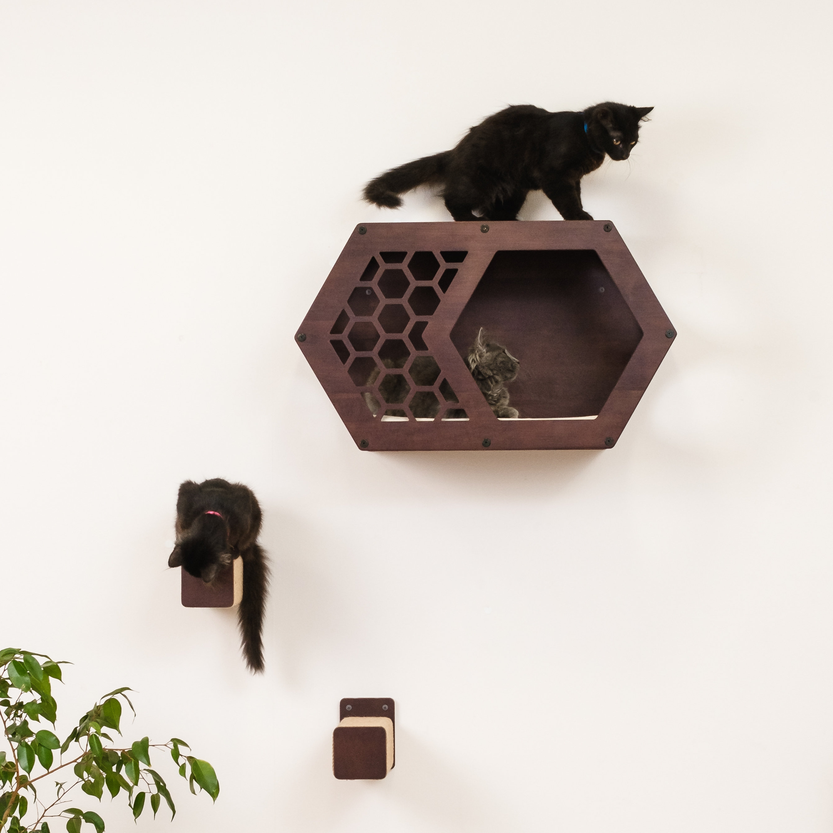 Wallmounted Cat Bed Cat Wall Furniture Modern Cat Etsy