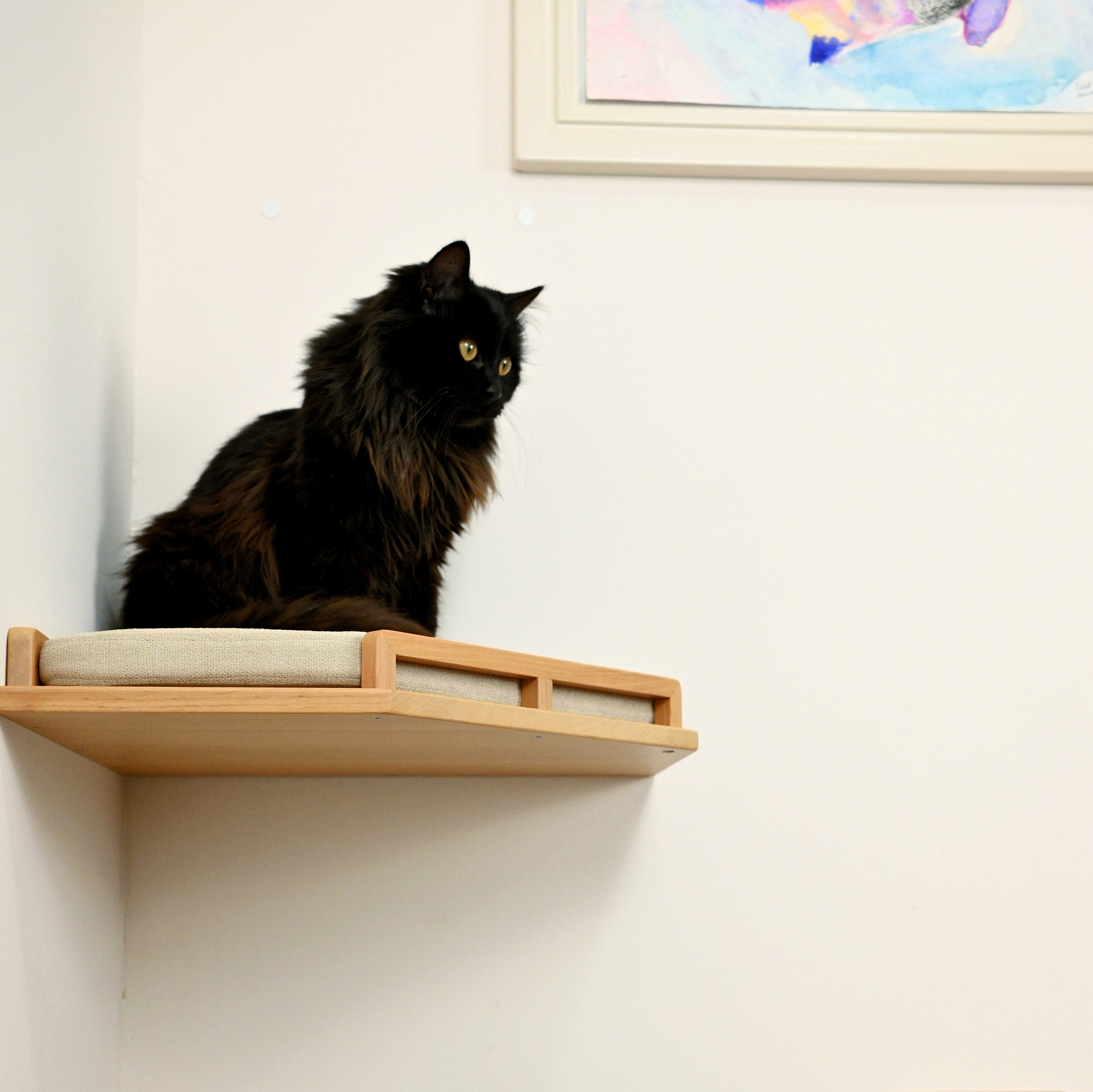 Hoekkattenplank van massief hout, kattenbak hoek, kattenopstapjes, kattenmuurmeubels, kattenhoekbank, kattenmuurbank, kattenmuurplanken? Kattenmuur