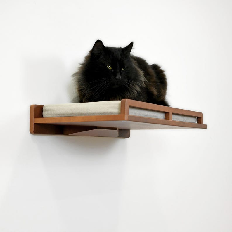 May include: A black cat rests on a wooden cat shelf mounted on a white wall. The shelf has a rectangular design with a light-colored cushion. The wood has a warm, natural finish, and the cat's fur is long and fluffy.