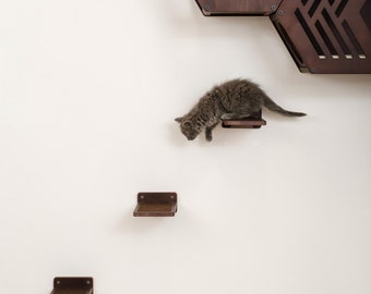 May include: A gray cat perched on a wooden cat shelf, looking down at a lower shelf. The cat shelf is mounted on a white wall.