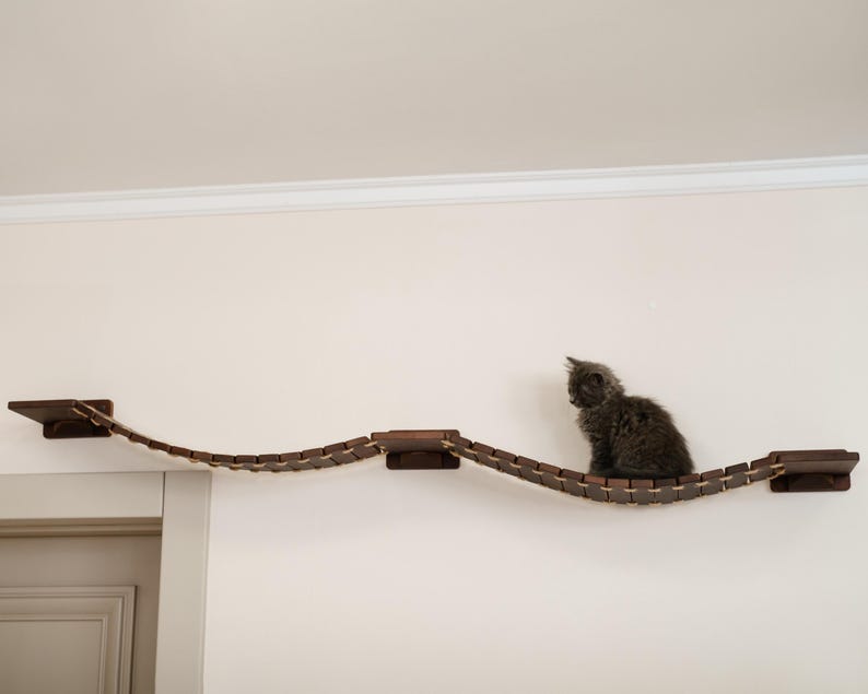 May include: A dark gray kitten sits on a wooden cat bridge mounted on a white wall. The bridge is made of dark brown wooden blocks connected by rope, with platforms at each end and in the middle. The cat looks to the side.