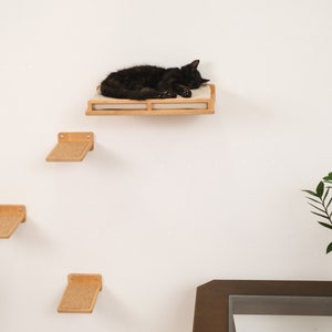 May include: A black cat rests on a wall-mounted cat shelf with a light-colored cushion. Below, three additional wooden cat steps with textured surfaces are mounted on the wall. The cat furniture is made of light-colored wood.