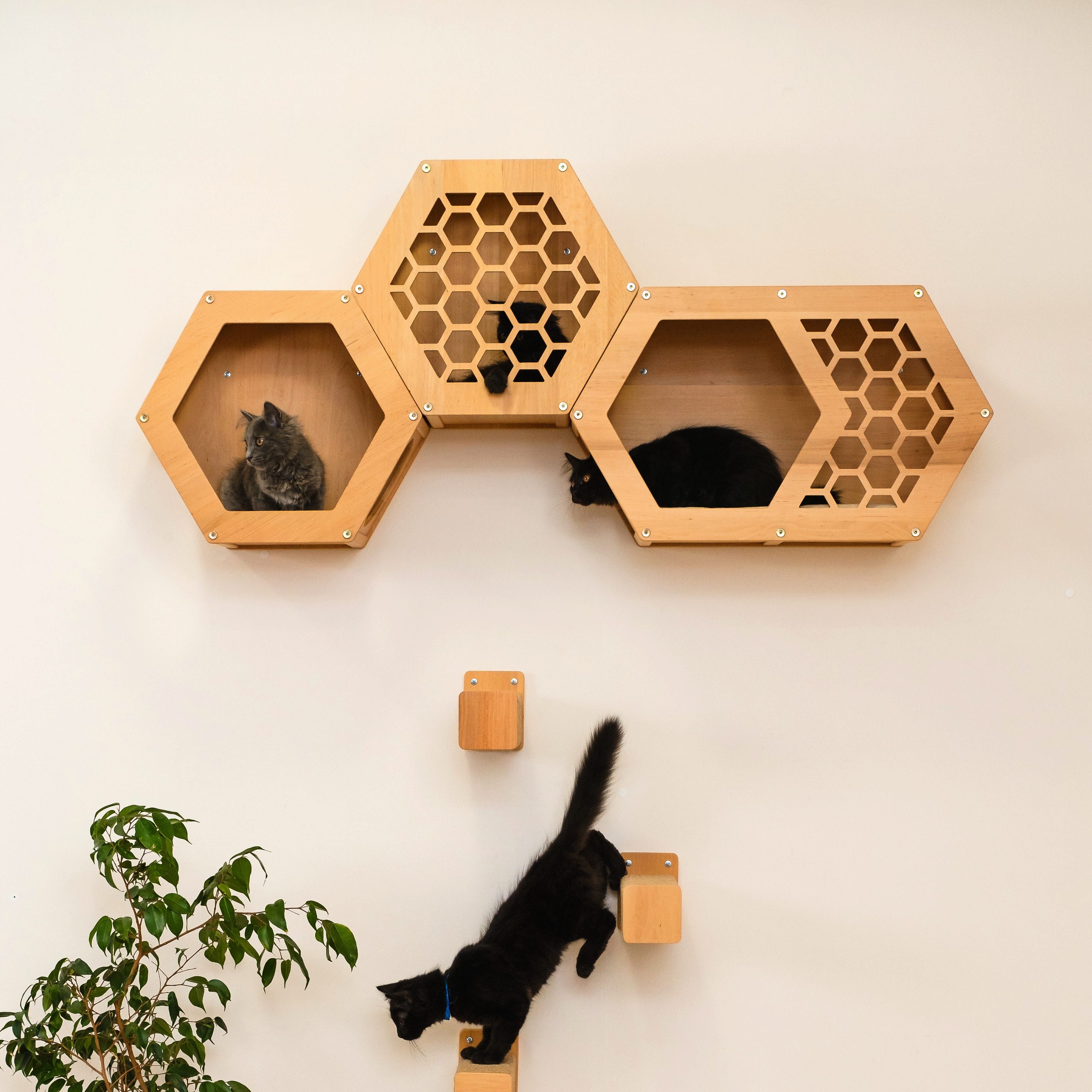 Hexagon Cat House Modern Natural Wood Wall Furniture