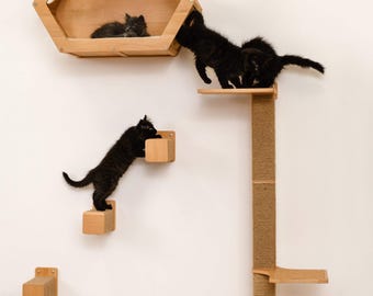 Hexagon Cat Shelf: Wall Mounted Natural Wood Cat Bed