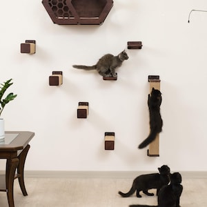 May include: A modern cat climbing wall system with a dark brown hexagonal cat bed, several square platforms, and a scratching post. Three black cats and one gray cat are interacting with the wall-mounted furniture.