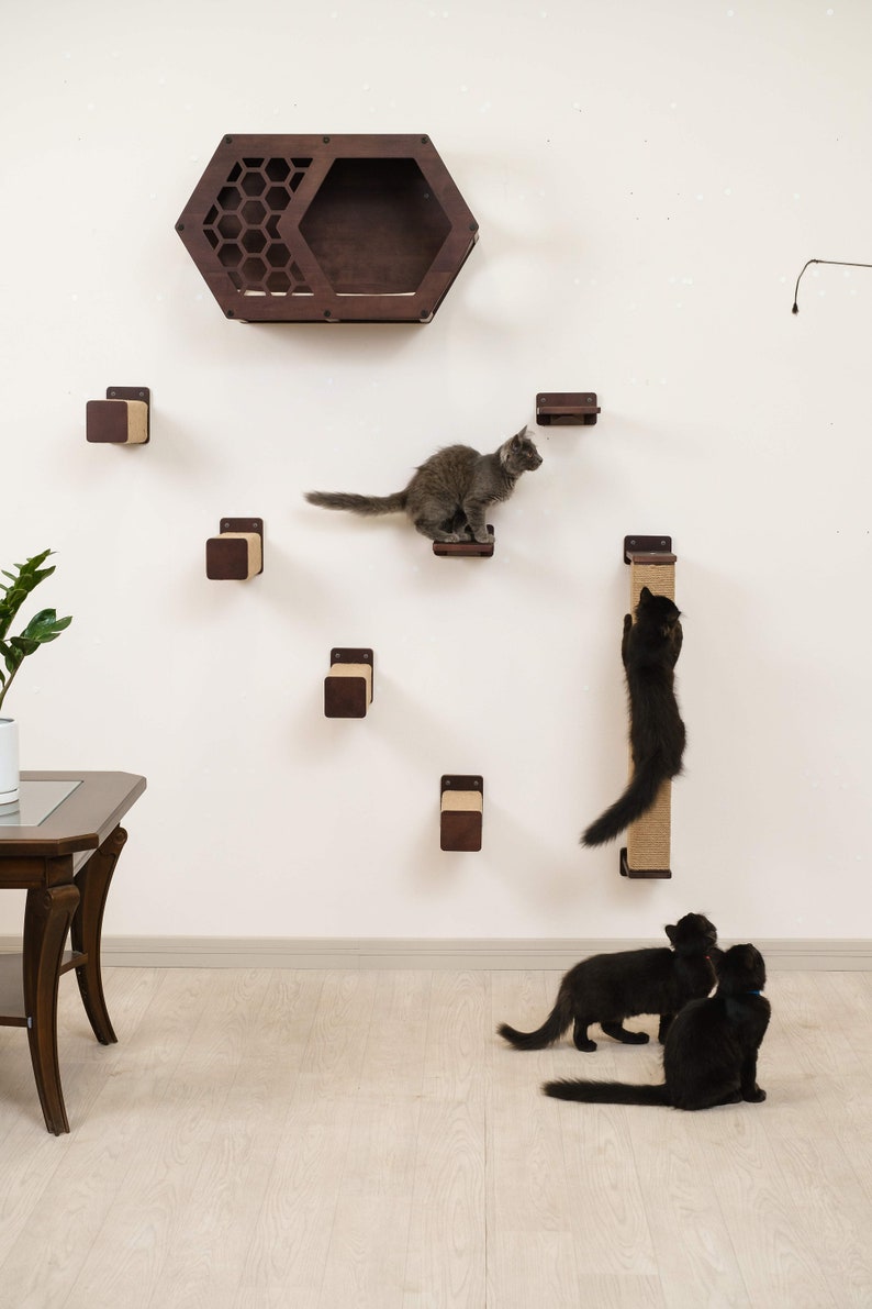 May include: A modern cat climbing wall system with a dark brown hexagonal cat bed, several square platforms, and a scratching post. Three black cats and one gray cat are interacting with the wall-mounted furniture.