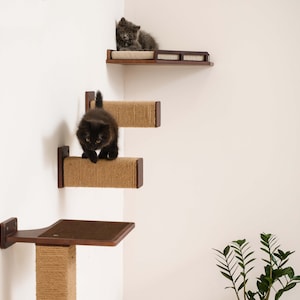 Natural Wood Cat Steps, Cat Step with Jute, Cat Wall Furniture, Cat Shelves, Cat Shelves for Wall Cat Climbing wall step  Gift for Cat Lover