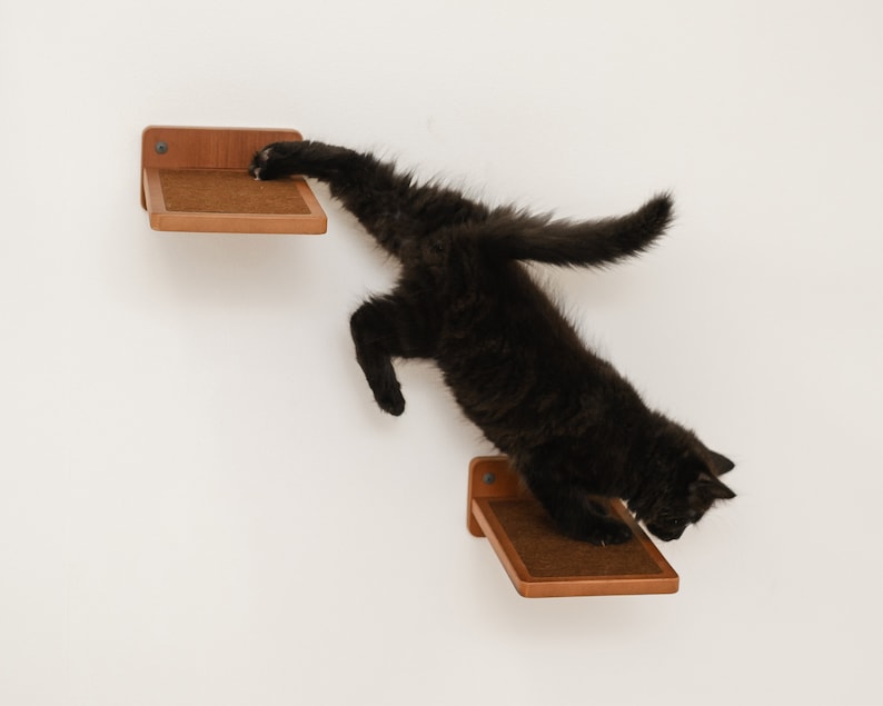 Natural Wood Cat Step with Jute: Wall Mounted Cat Furniture 画像 7