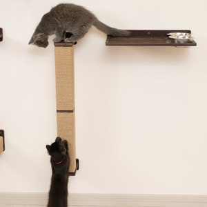 May include: A wall-mounted cat tree with a scratching post and two shelves. A gray cat is on the top shelf, and a black cat is climbing the scratching post. The shelves have metal bowls for food or water.