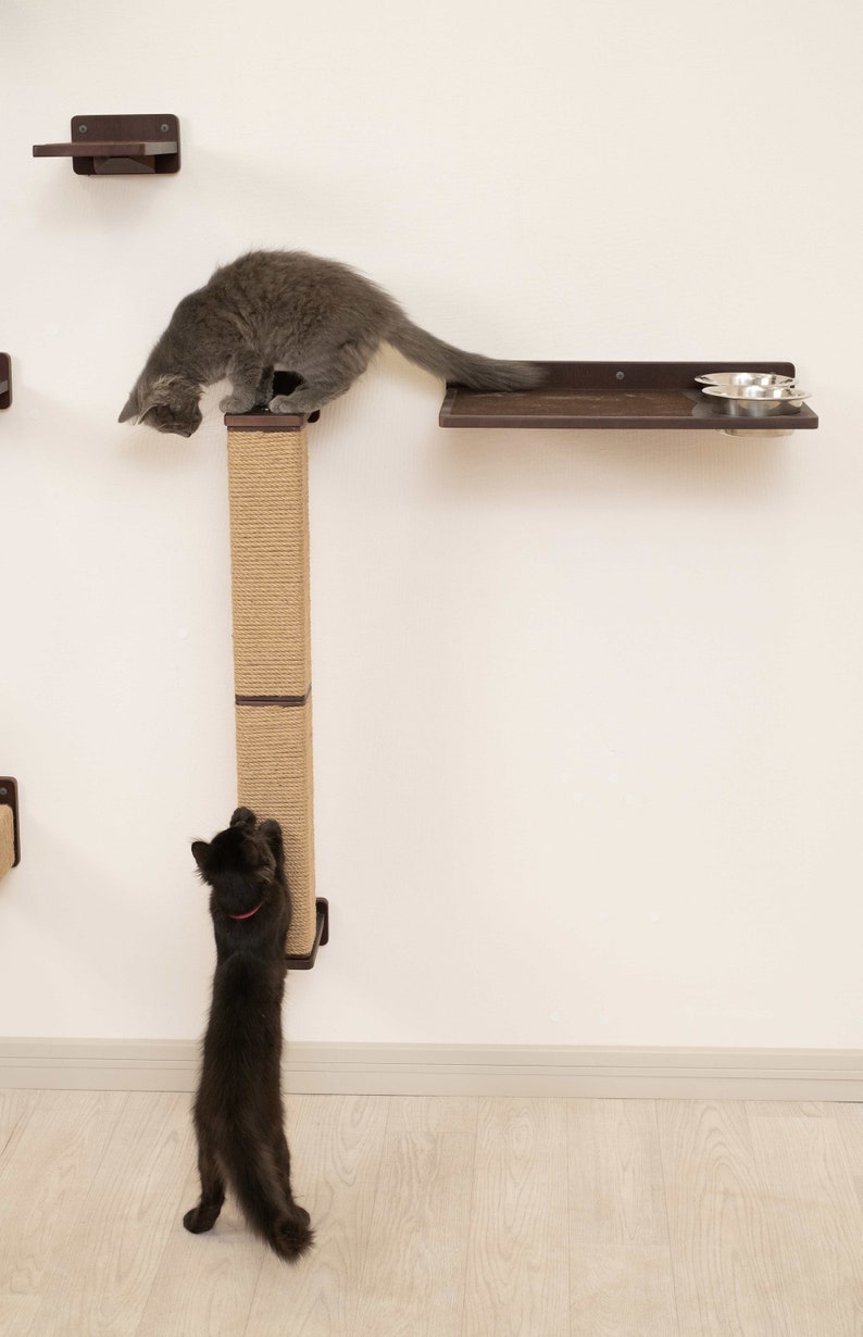 May include: A wall-mounted cat tree with a scratching post and two shelves. A gray cat is on the top shelf, and a black cat is climbing the scratching post. The shelves have metal bowls for food or water.
