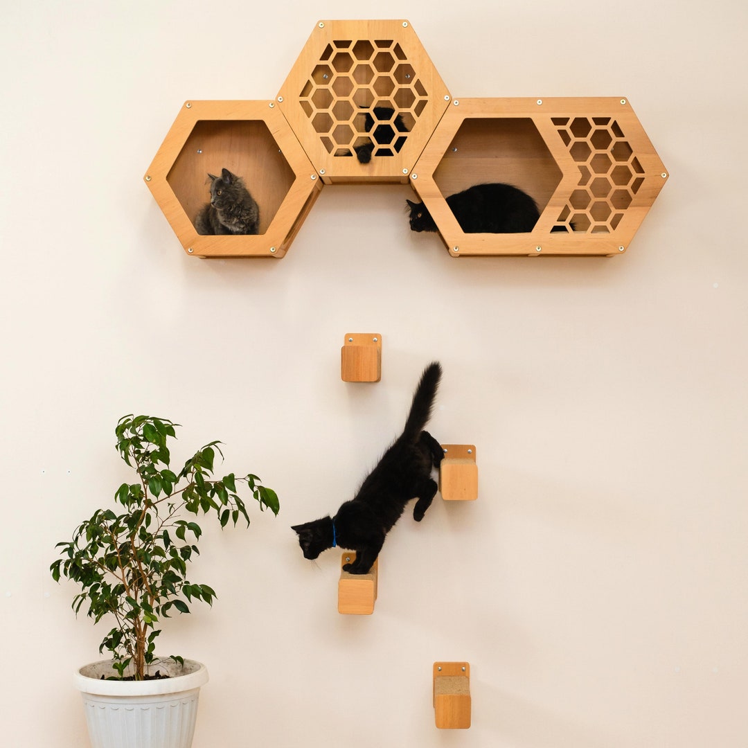 hexagon-cat-shelf-cat-wall-furniture-cat-shelves-for-wall-modern-cat