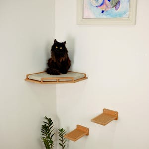 Corner Cat Shelf with Cushion + 3 Steps, Cat corner wall bed, Cat wall furniture, Corner Cat Shelf for wall,  Modern cat furniture, Cat wall
