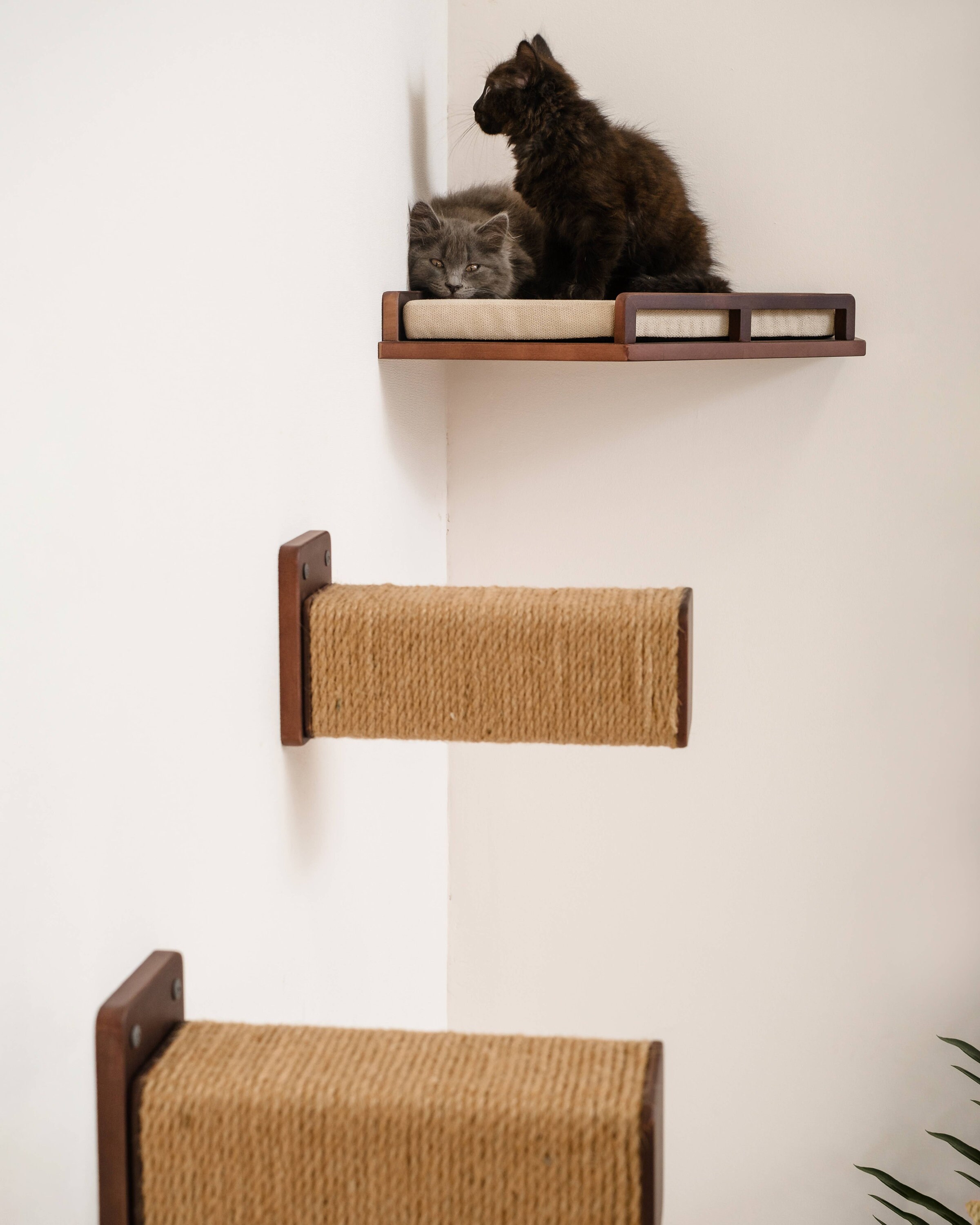 Solid Wood Cat Wall Steps: Modern Climbing Shelf & Scratcher - Etsy