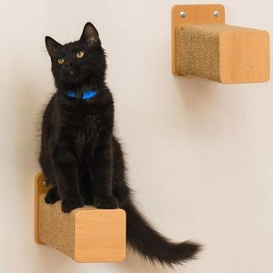 Natural Wood Cat Step with Jute: Wall Mounted Cat Furniture 画像 9
